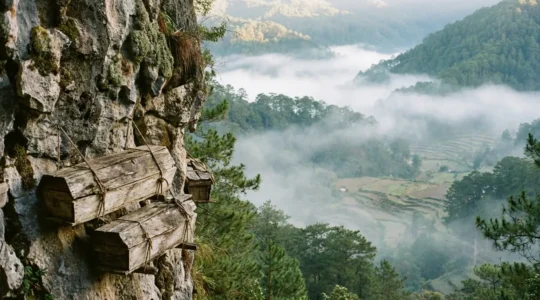 Ancient hanging coffins on limestone cliffs in Sagada surrounded by morning mist